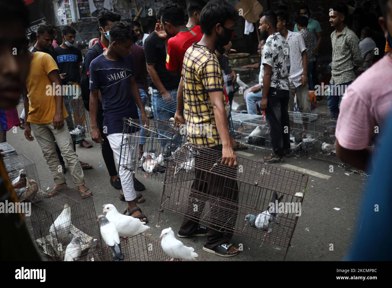 Am 17. September 2021 warten Händler auf Kunden auf einem wöchentlichen Taubenmarkt in Dhaka, Bangladesch. (Foto von Syed Mahamudur Rahman/NurPhoto) Stockfoto