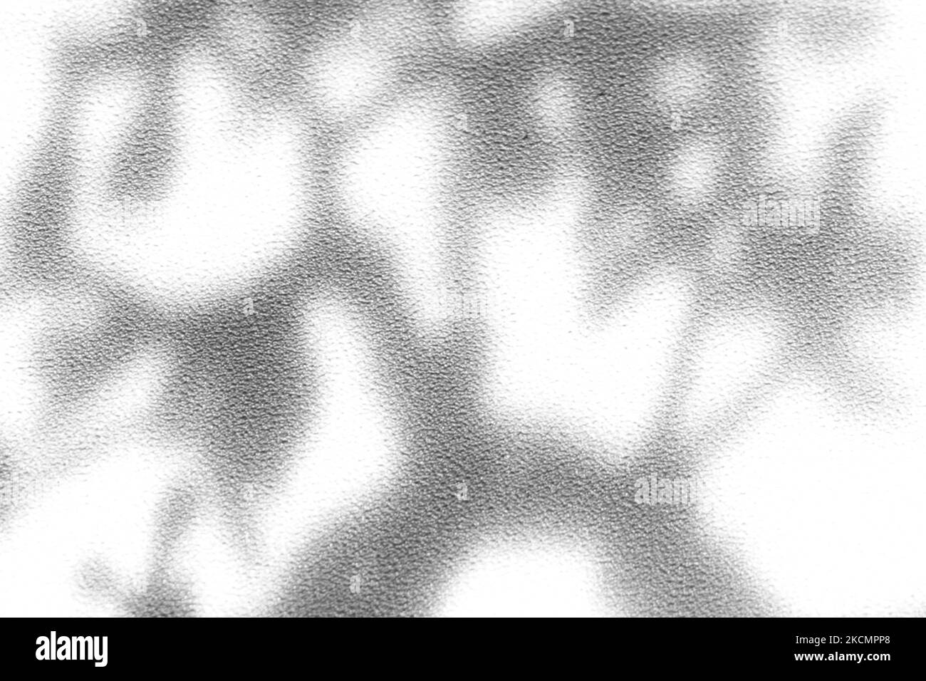 Realistischer Schatten von Ästen, Blättern und Laub. Overlay-Effekt für verschwommenes transparentes weiches Licht Stockfoto