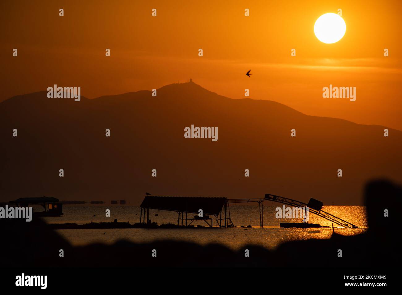 Die Sonne, die hinter dem Berg Hortiatis aufgeht, reflektiert das Wasser mit den Maschinen der Fischer und Muschelproduzenten, die in der Nähe der hölzernen Pfeiler sichtbar sind. Sonnenaufgang, Morgengrauen und die Sonne spiegeln sich auf dem Meer im Axios Delta National Park, einem Ort mit Feuchtgebieten in der Nähe von Halastra und Thessaloniki Stadt, wo 4 Flüsse Gallikos, Axios, Loudias und Aliakomnas ihr Delta haben. An dem jeweiligen Standort haben Fischer und Muschelproduzenten ihre Hütten und Boote. Über die Artenvielfalt ist diese Region berühmt und von weltweiter ornithologischer Bedeutung, da beträchtliche Populationen seltener Vögel anhalten, nisten oder überwinten Stockfoto