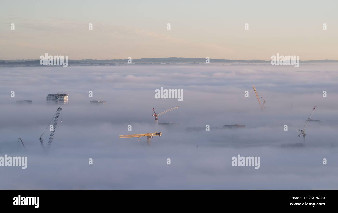 Baukräne im Nebelmeer, Blick vom Gipfel des Mount Eden. Auckland. Stockfoto