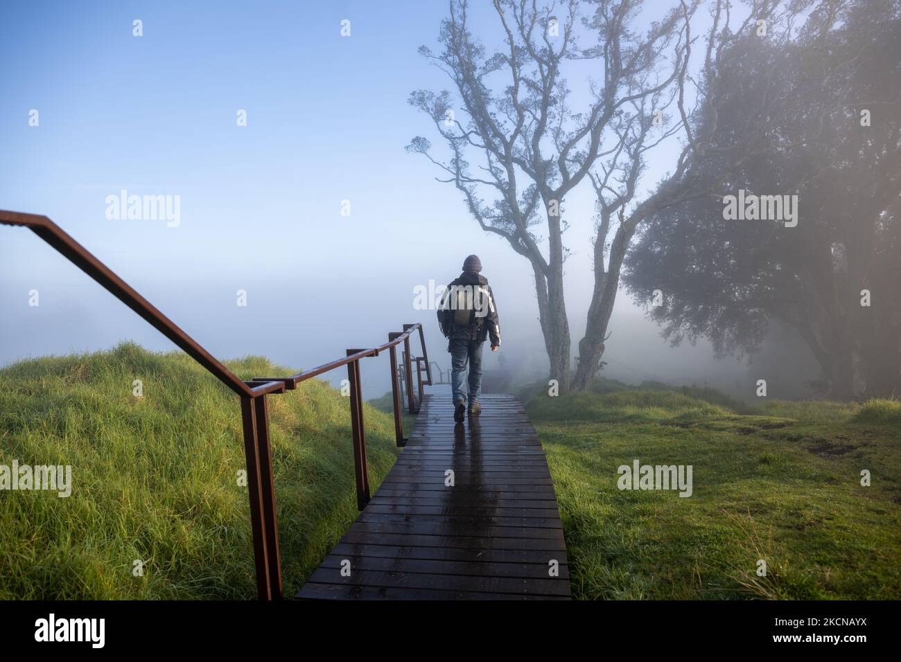 Menschen, die im Nebel wandern, Mt Eden Summit, Auckland. Stockfoto