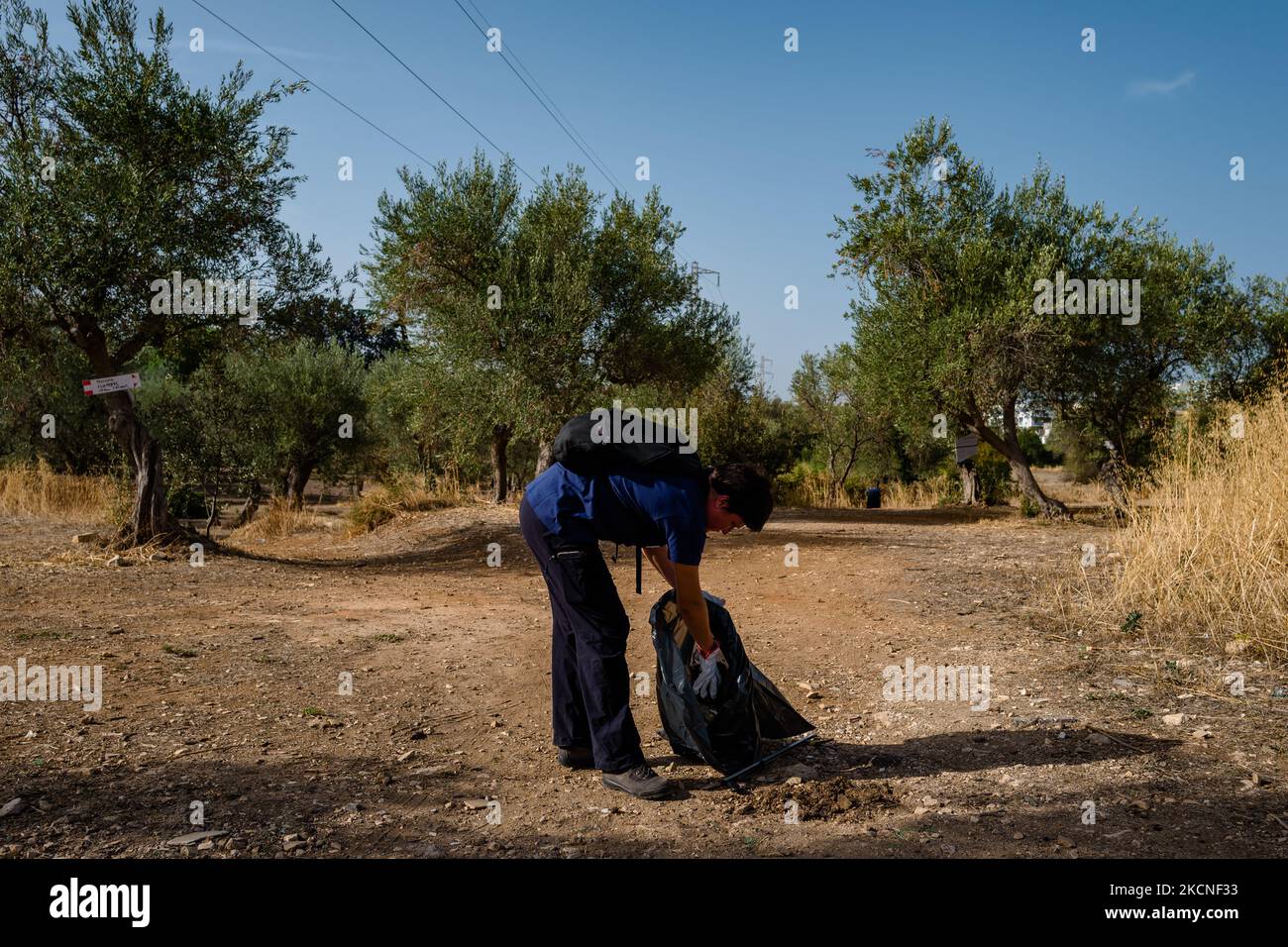 Ein Freiwilliger der Terrae Association reinigt die grüne Lunge der Stadt Lama Martina während des Nationalen Plastic Free Day in Molfetta am 26. September 2021. Jedes Jahr erreichen 12 Millionen Tonnen Plastik weltweit Meere, das entspricht einem LKW Müll pro Minute, und 1,5 Millionen Tiere, vor allem Meerestiere, sterben an Plastik. Plastikverschmutzung ist jetzt ein Problem, das wir nicht mehr ignorieren können. Seit mehr als 2 Jahren engagiert sich der Verein Plastic Free für dieses Thema und organisiert dank seines Netzwerks von Kontakten und sozialen Kanälen jedes Jahr 2 nationale Veranstaltungen, in denen jeweils Stockfoto
