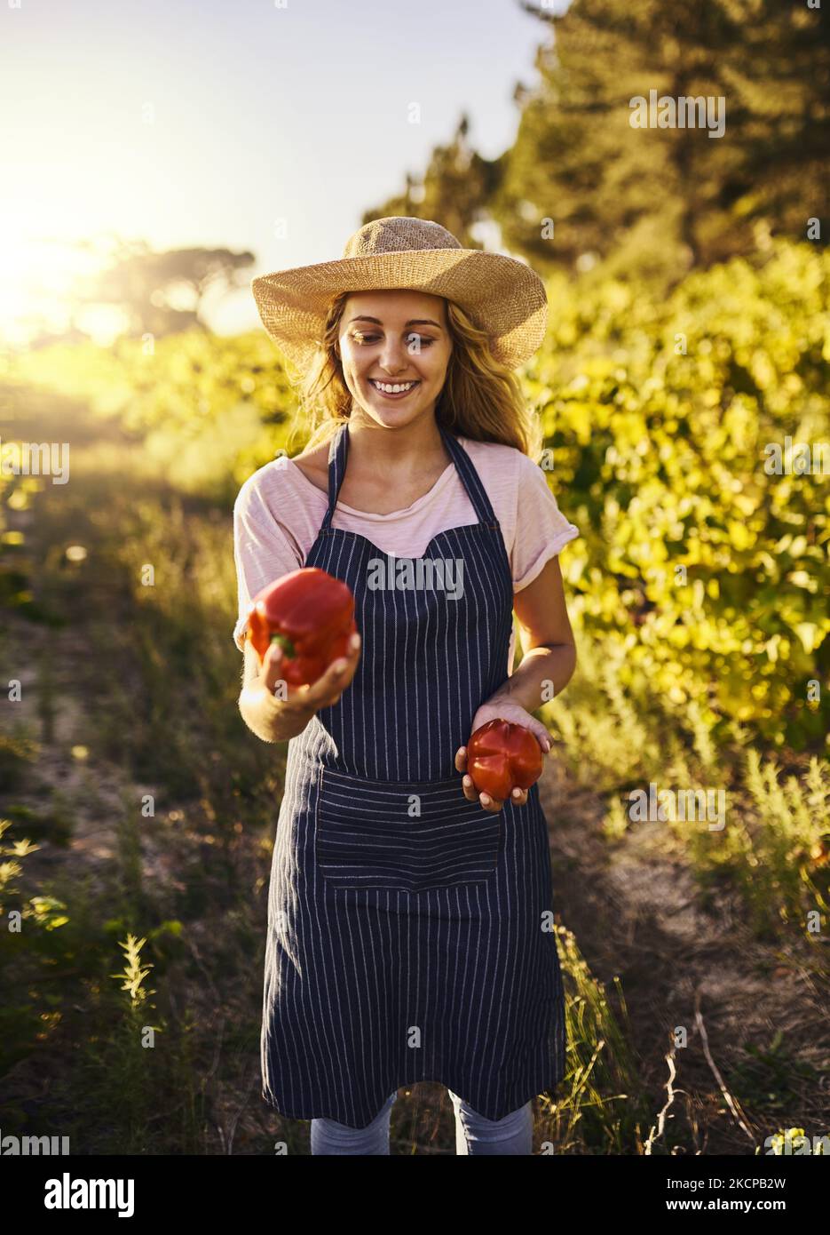Seine Erntezeit. Eine junge Frau jongliert auf einer Farm mit roten Paprika. Stockfoto