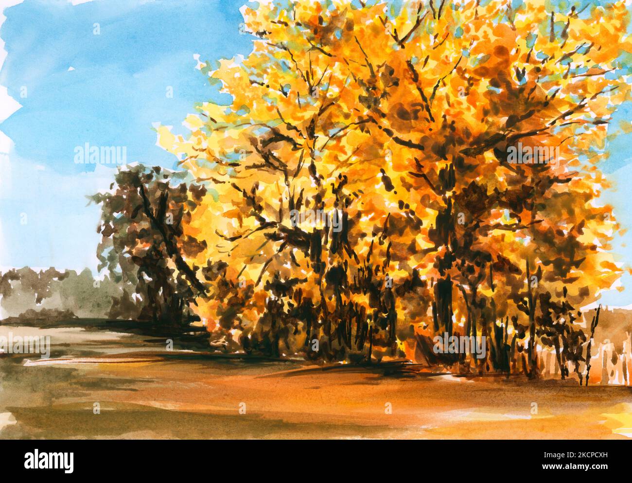 Herbstbäume. Aquarell auf Papier. Stockfoto