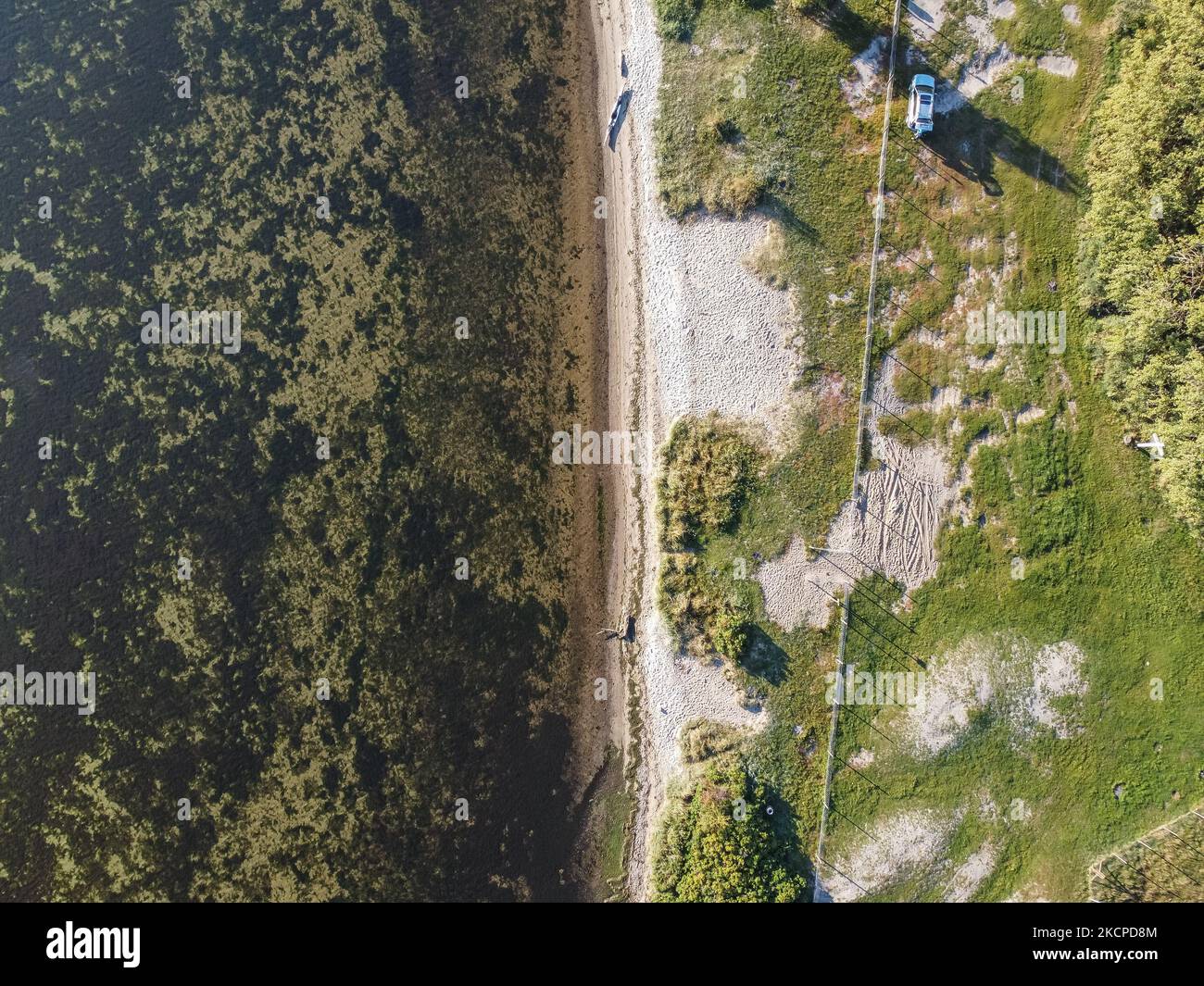 Luftaufnahme der Küste und des Strandes des Danziger Golfs (Ostsee) in Oslonino, Polen, am 9. Oktober 2021 ist das Meer voller Algen, einschließlich Cyanobakterien, zu sehen. (Foto von Michal Fludra/NurPhoto) Stockfoto