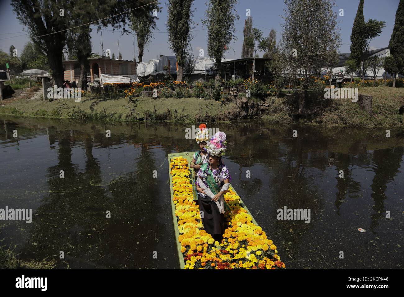 Vertreter der schönsten Blume des Ejido auf einem Boot auf dem Acuexcomatl Markt in San Luis Tlaxialtemalco, Mexiko-Stadt, Vor der Eröffnung des Verkaufs der Cempasúchitl Blume während der gesundheitlichen Notlage durch COVID-19 und der epidemiologischen Ampel in der Hauptstadt am Vorabend der Feierlichkeiten zum Tag der Toten in Mexiko am 1. Und 2. November. (Foto von Gerardo Vieyra/NurPhoto) Stockfoto