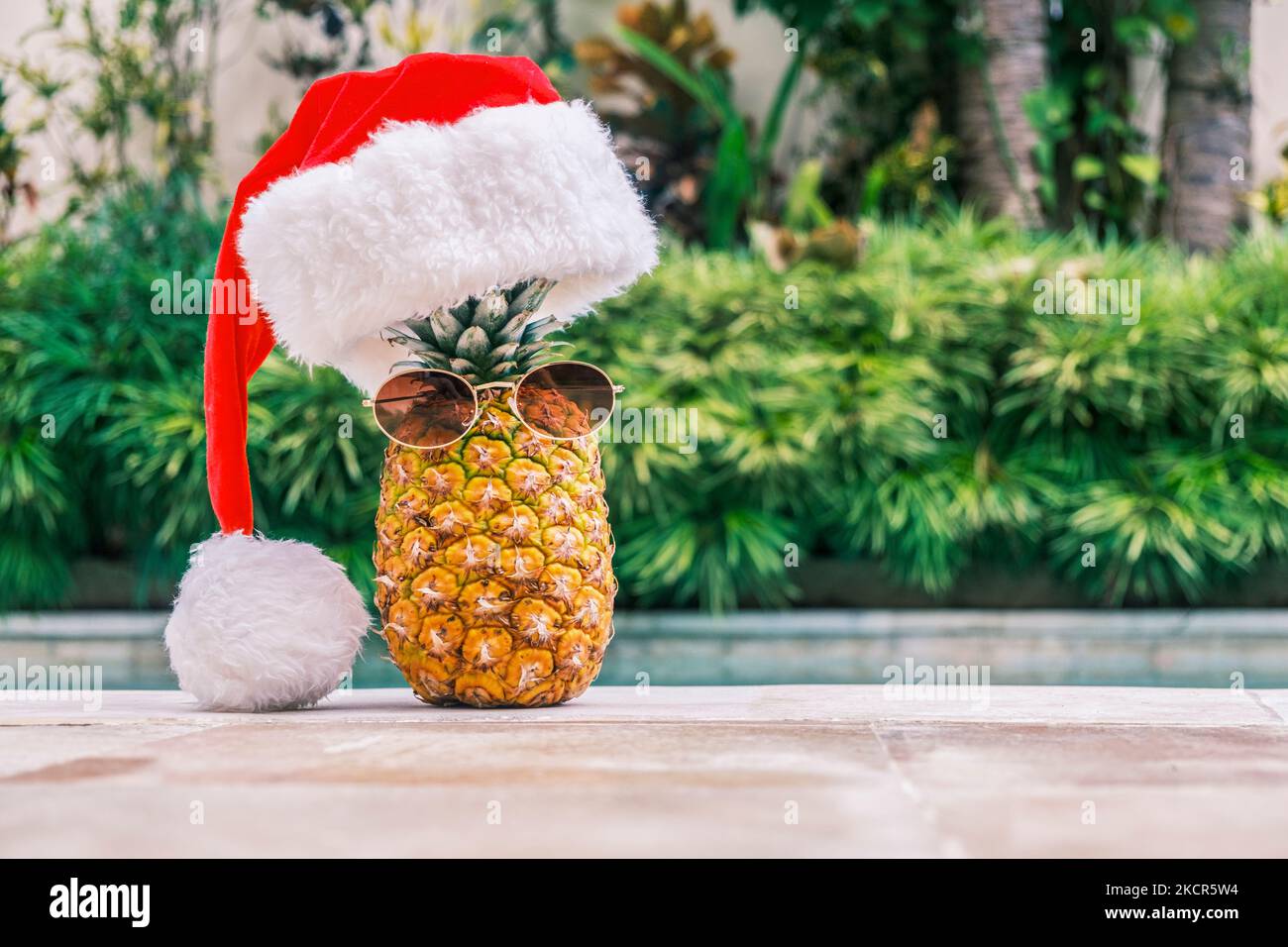 Lustige Ananas mit Sonnenbrille und Weihnachtsmann Hut gegen Pool und tropische Pflanzen bei sonnigem Wetter in den Tropen. Weihnachten in den Tropen. Winter Stockfoto