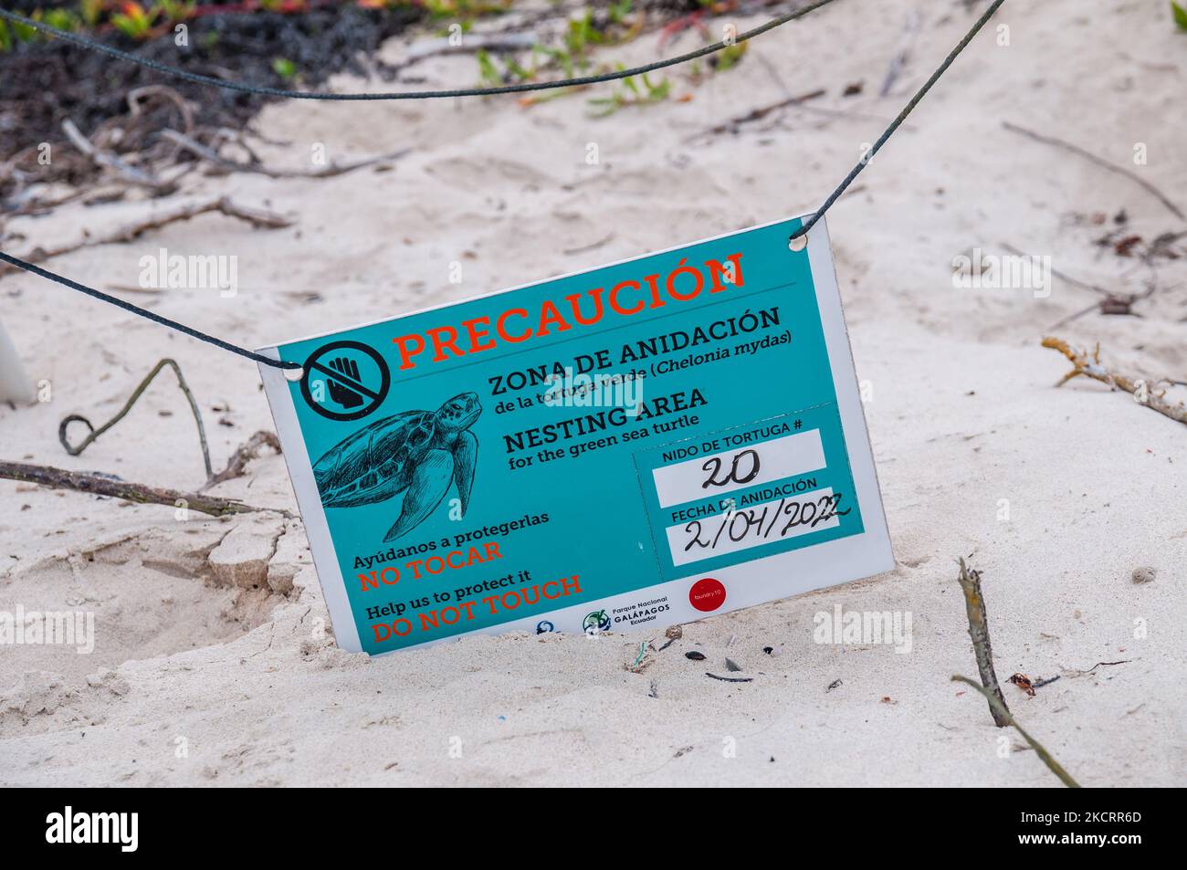 Nistgebiet Signal für die Grüne Meeresschildkröte, Tortuga Bay, Santa Cruz, Galapagos Inseln Stockfoto