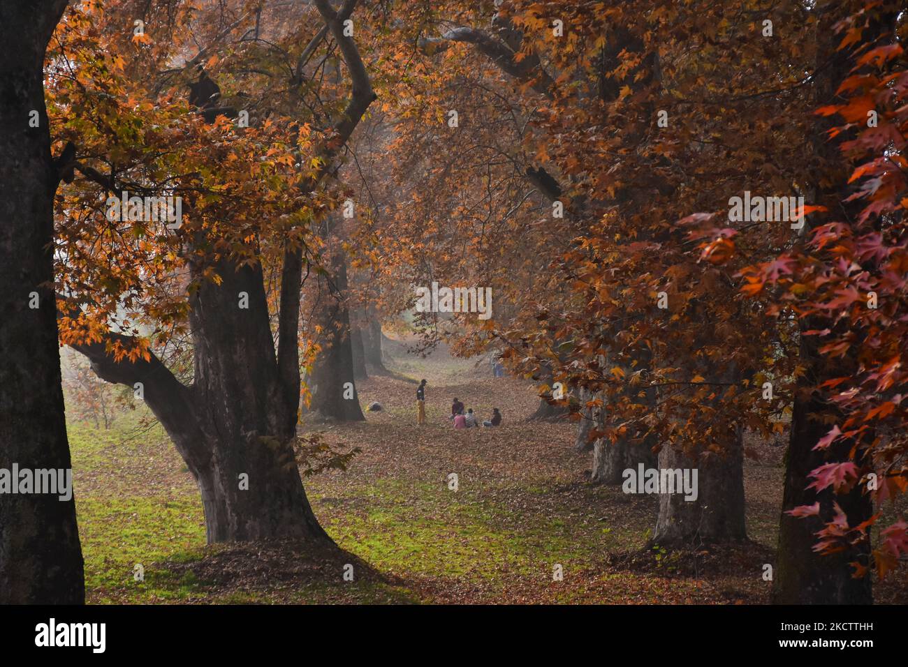 Am 13. November 2021 besuchen die Menschen den berühmten Mughal-Garten Kaschmirs in der Herbstsaison in Srinagar, dem von Indien verwalteten Kaschmir. (Foto von Muzamil Mattoo/NurPhoto) Stockfoto