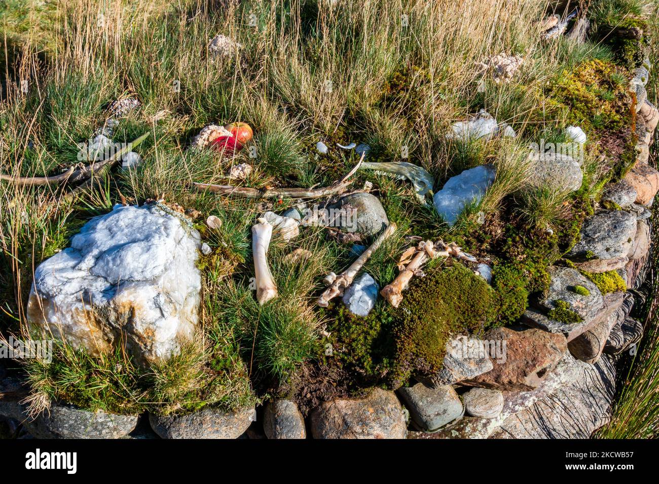 Knochen, die am heidnischen Schrein von Tigh Nam Bodach oder Tigh Nam Cailliche in der Nähe von Loch Lyon in Perthshire, Schottland, hinterlassen wurden, wo heilige Flusssteine enthalten sind Stockfoto