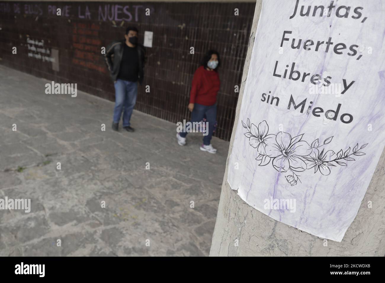 Zeichen gegen männliche Gewalt an den Fenstern der Fakultät für Architektur der Nationalen Autonomen Universität von Mexiko (UNAM), Mexiko-Stadt. (Foto von Gerardo Vieyra/NurPhoto) Stockfoto