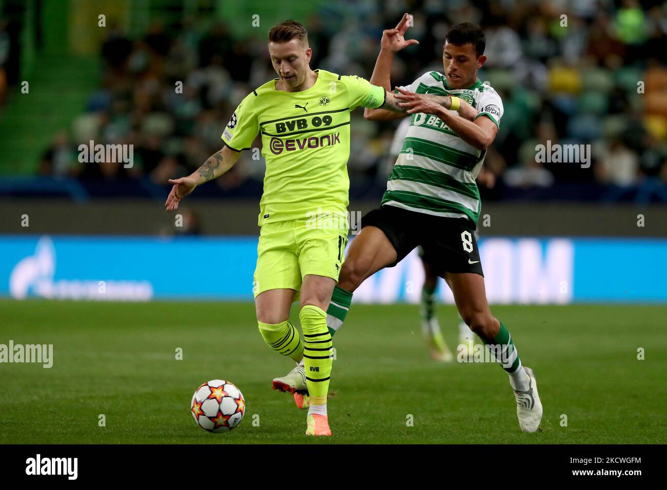 Marco Reus von Borussia Dortmund (L) lebt mit Matheus Nunes von Sporting CP während des UEFA Champions League-Fußballspiels der Gruppe C zwischen Sporting CP und Borussia Dortmund am 24. November 2021 im Alvalade-Stadion in Lissabon, Portugal. (Foto von Pedro FiÃºza/NurPhoto) Stockfoto