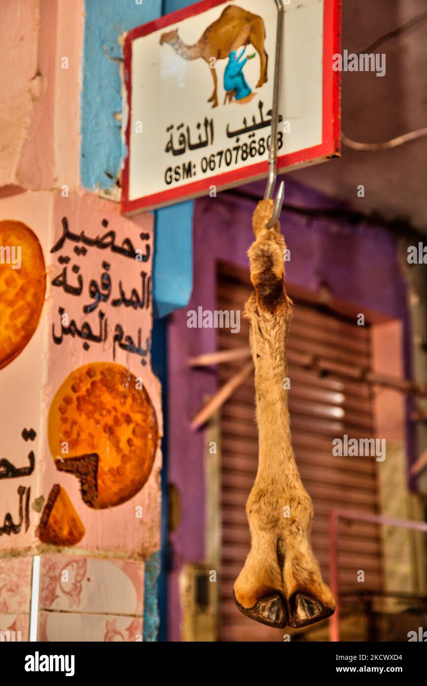 Ein Kamelfuß hängt vor einer kleinen Metzgerei, die Kamelfleisch im Hohen Atlas in Risine, Marokko, Afrika verkauft. (Foto von Creative Touch Imaging Ltd./NurPhoto) Stockfoto