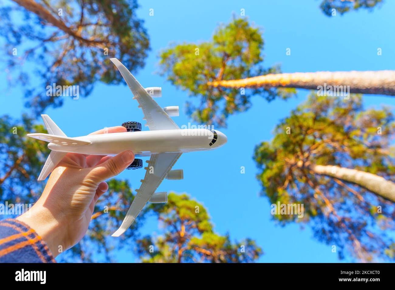 Low-Angle-Ansicht eines Modellflugzeugs vor dem Hintergrund hoher Bäume Stockfoto