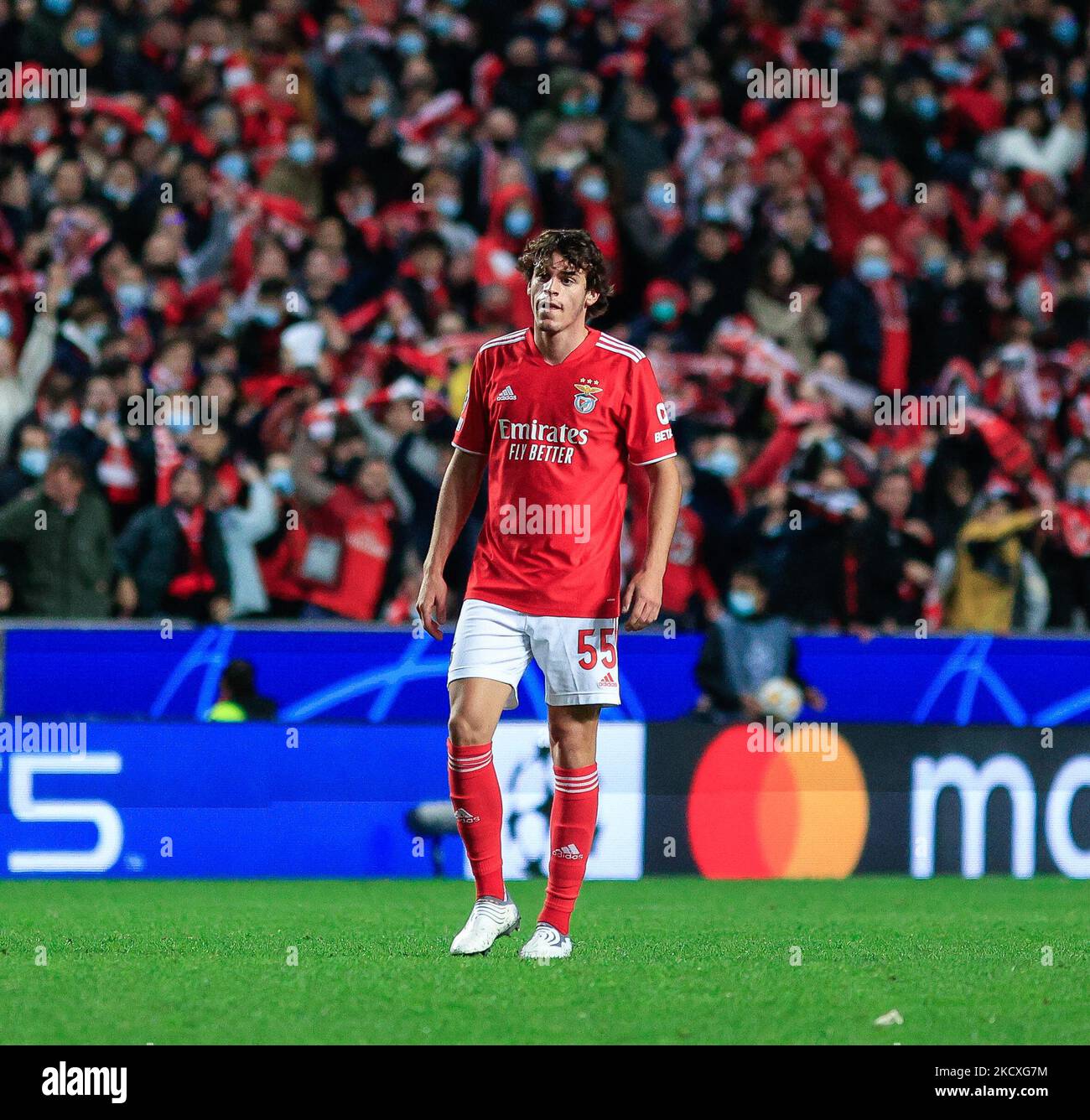 Paulo Bernardo von SL Benfica beim UEFA Champions League-Spiel der Gruppe E zwischen SL Benfica und Dinamo Kiev am 08. Dezember 2021 im Estadio da Luz in Lissabon, Portugal. (Foto von Paulo Nascimento/NurPhoto) Stockfoto