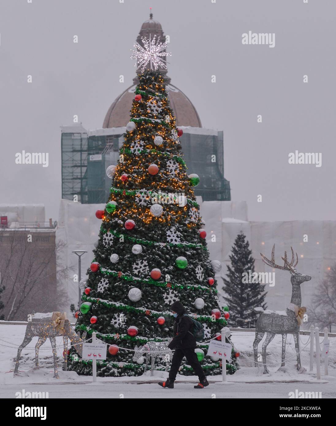 Weihnachtsbaum und Dekorationen außerhalb der Alberta Legislature in Edmonton. Montag, 13. Dezember 2021, in Edmonton, Alberta, Kanada. (Foto von Artur Widak/NurPhoto) Stockfoto