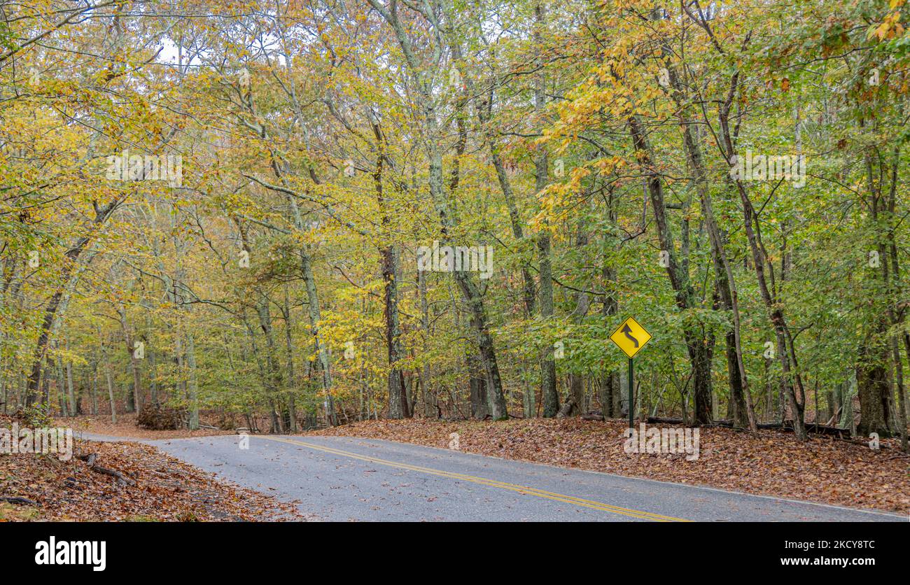 Abschnitt einer leeren Straße in Amagansett an einem Herbsttag Stockfoto
