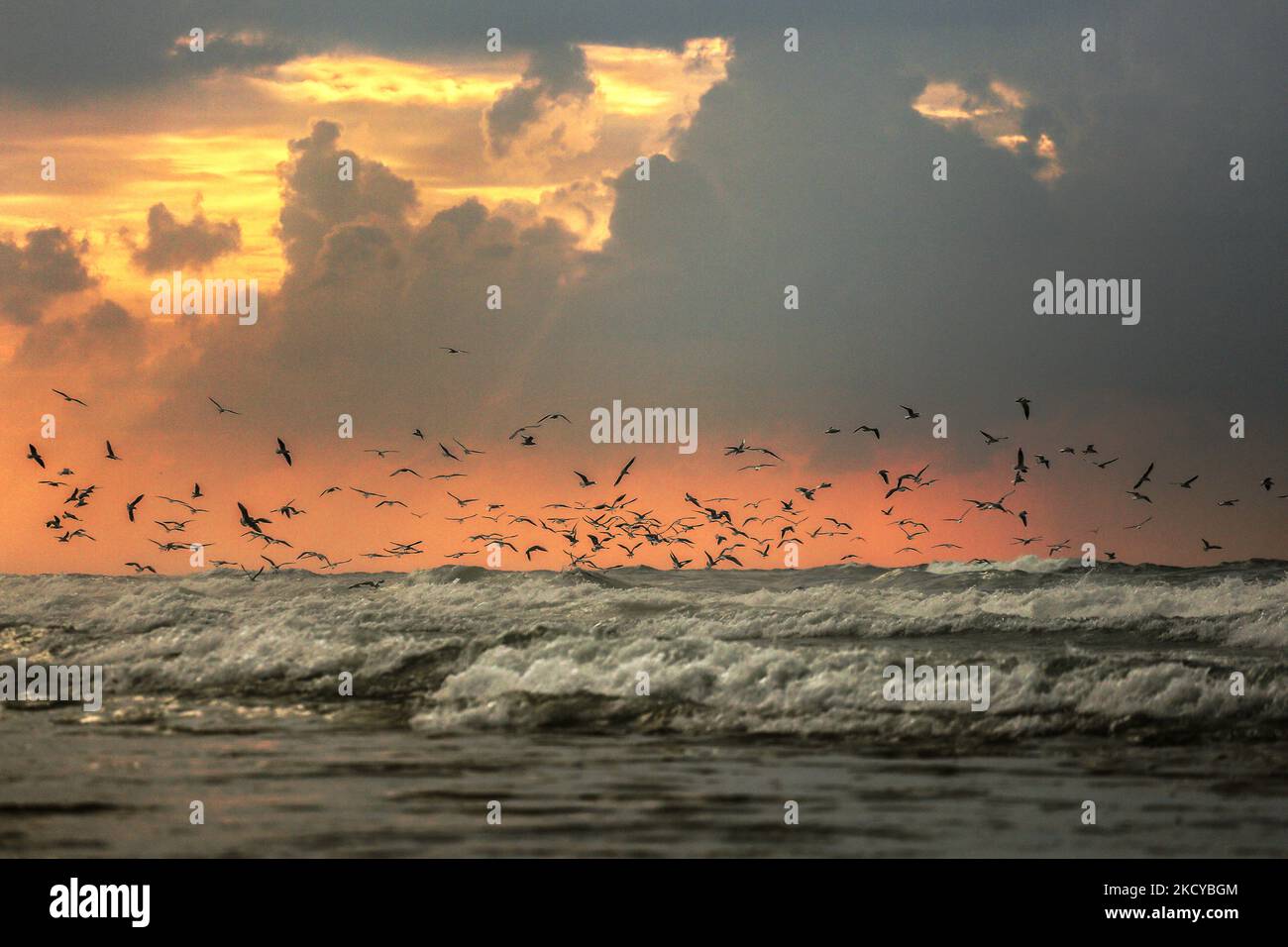 Möwen fliegen am 22,2021. Dezember über den Strand von Gaza City während eines regnerischen Tages bei Sonnenuntergang. (Foto von Sameh Rahmi/NurPhoto) Stockfoto