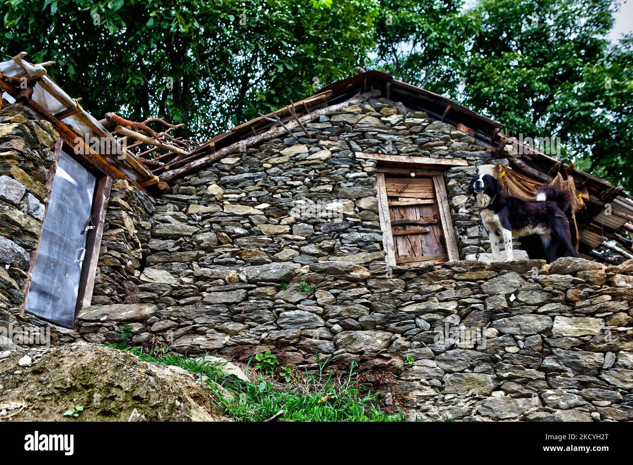 Hund vor einem traditionellen Dorfhaus in einem abgelegenen Bergdorf in Himachal Pradesh, Indien. (Foto von Creative Touch Imaging Ltd./NurPhoto) Stockfoto