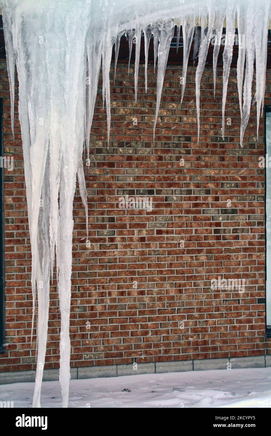 Große Eiszapfen, die am 31. Januar 2009 an einem Gebäude in Toronto, Ontario, Kanada, hängen. (Foto von Creative Touch Imaging Ltd./NurPhoto) Stockfoto