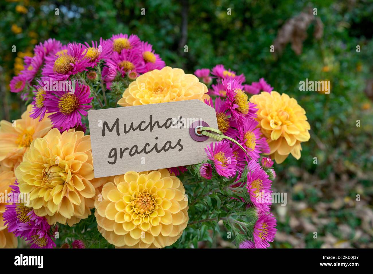 Grußkarte mit einem Blumenstrauß aus Herbstblumen und spanischem Text: Danke Stockfoto