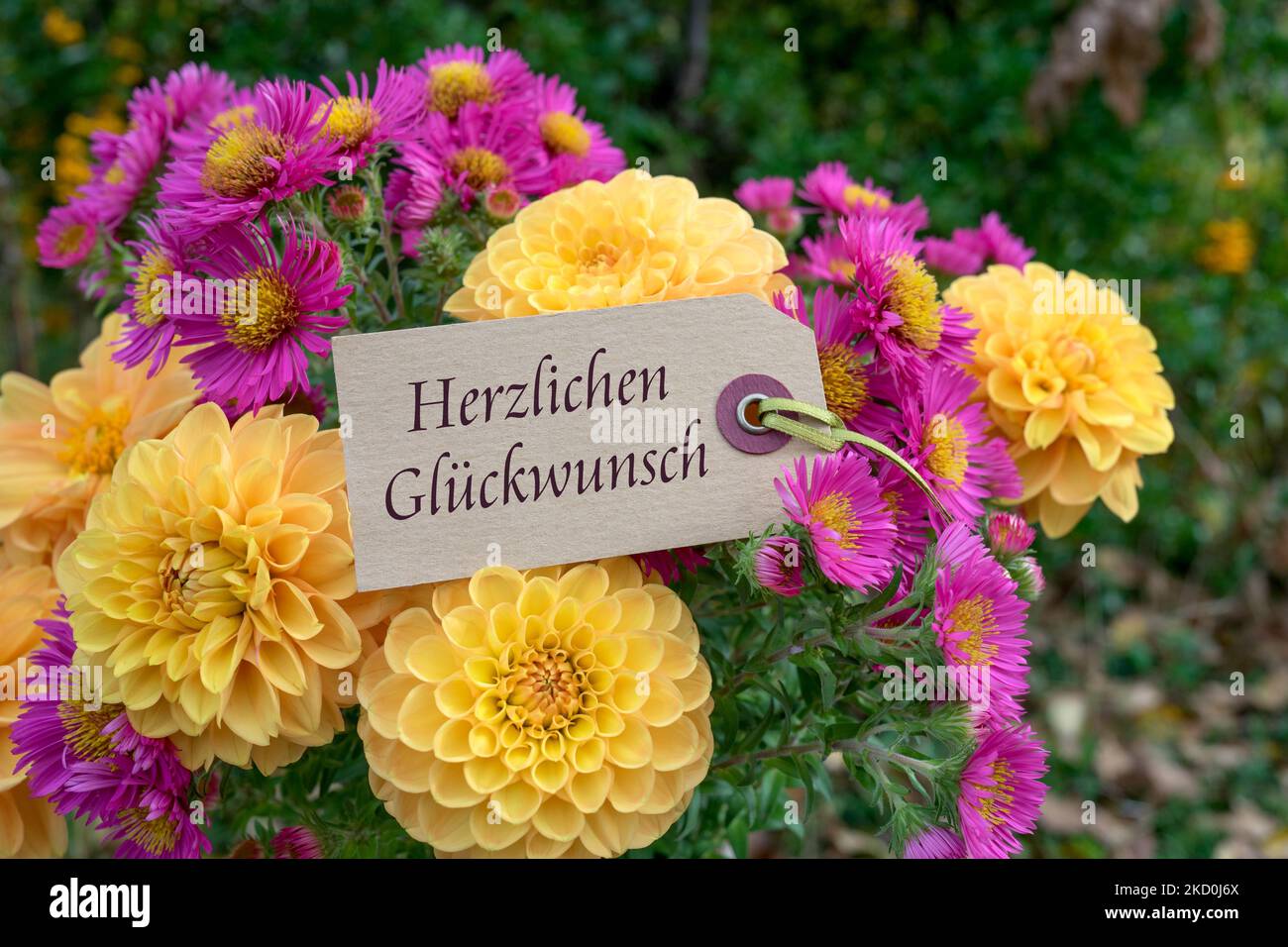 Grußkarte mit einem Blumenstrauß aus Herbstblumen und deutschem Text: Herzlichen Glückwunsch Stockfoto