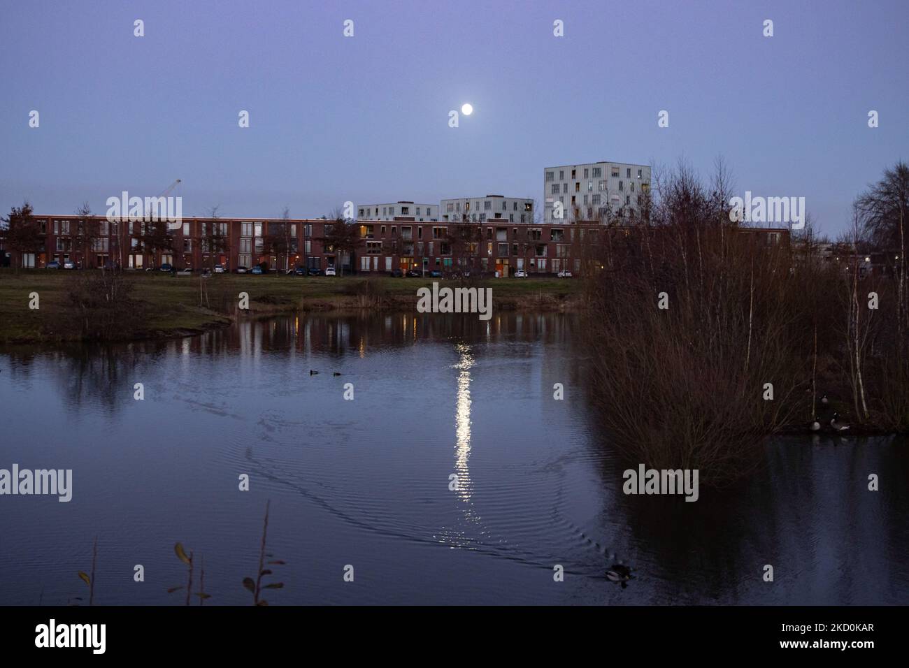 Der Vollmond Wolf in den Niederlanden erhellt den klaren Winterhimmel im Januar mit Spiegelungen auf einem kleinen See. Der erste Vollmond von 2022, der Wolf Moon, der in einem Wohngebiet in der Nähe von Eindhoven hinter Häusern und Gebäuden aufsteigt und den niederländischen Himmel erhellt. Andere Namen des natürlichen Satelliten der Erde in der Umlaufbahn um den Planeten sind Selene, Luna und Cynthia. Der Mond ist der größte Satellit im Sonnensystem. Eindhoven, Niederlande am 17. Januar 2022 (Foto: Nicolas Economou/NurPhoto) Stockfoto