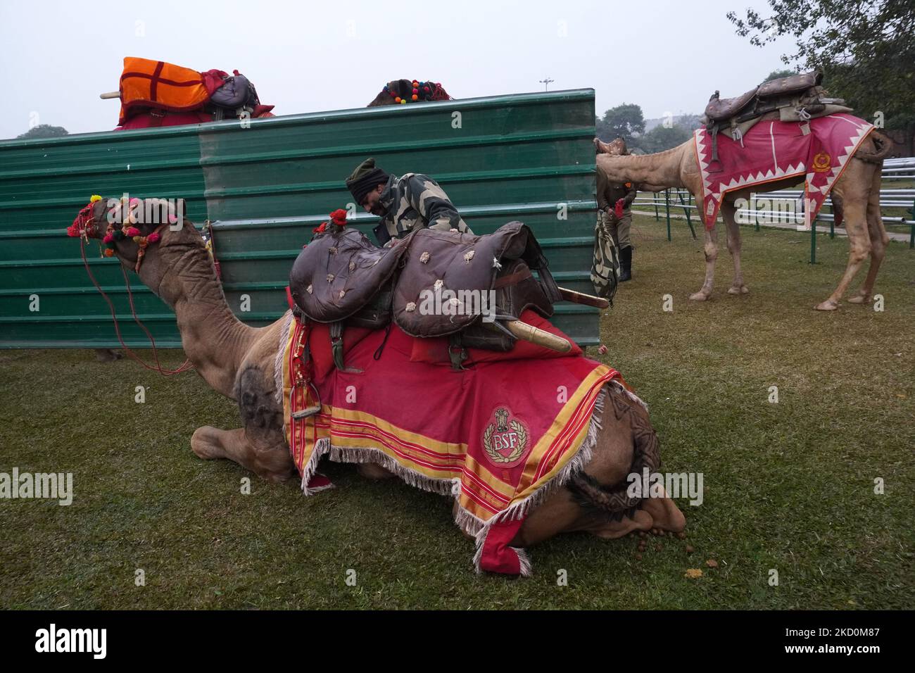 Ein indischer Soldat der Border Security Force (BSF), der einzigen Kamelabteilung, bereitet sich darauf vor, an den Proben für die bevorstehende Parade zum Republic Day an einem nebligen Wintermorgen in Neu Delhi, Indien, am 17. Januar 2022 teilzunehmen. (Foto von Mayank Makhija/NurPhoto) Stockfoto