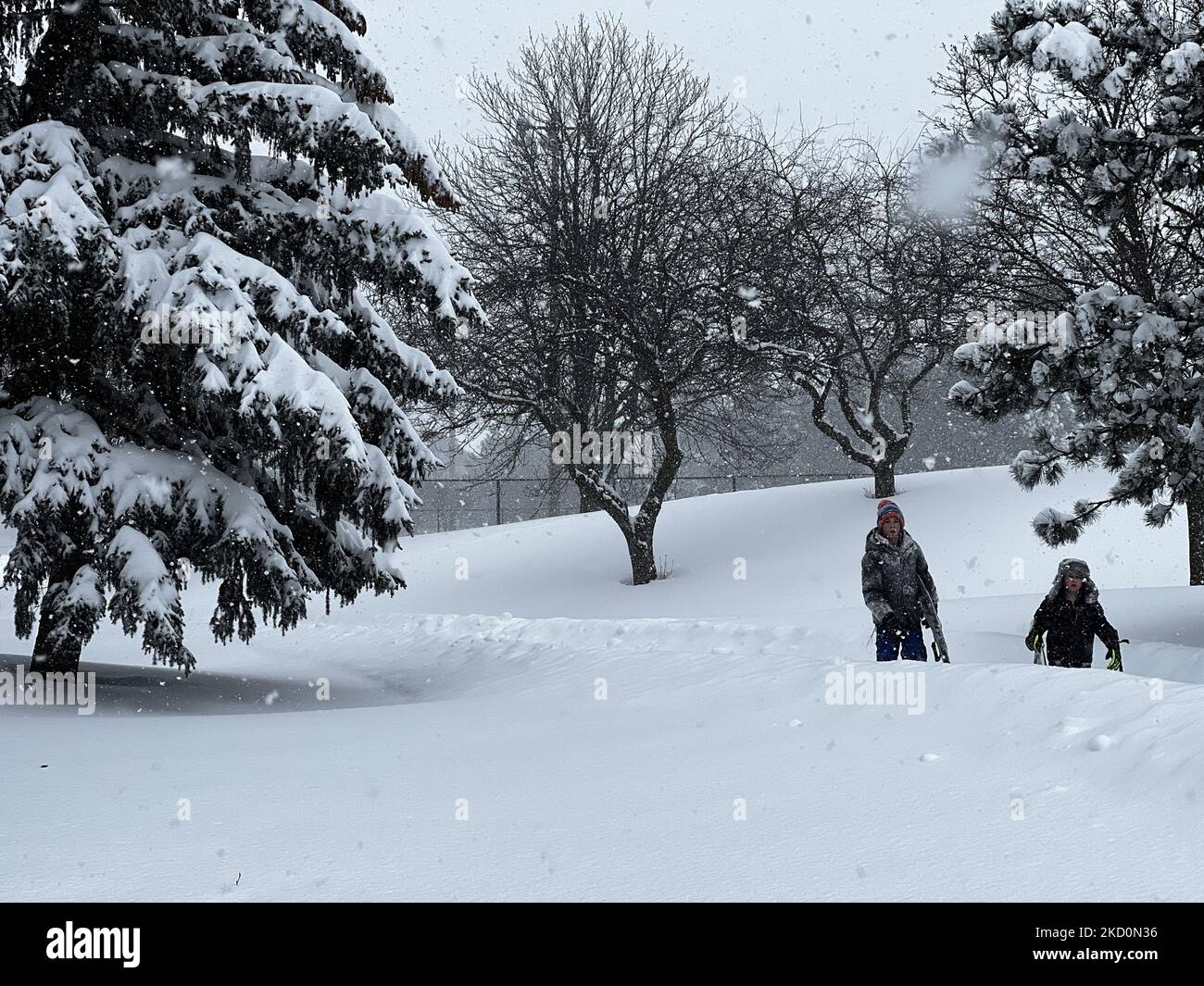 Am 17. Januar 2022 traf ein massiver Schneesturm in Toronto, Ontario, Kanada. Der Sturm bedeckte die Stadt mit Schneefällen zwischen 30 und 45 Zentimetern (ein Monat Schnee fiel in nur einem Tag), so Environment Canada. In Toronto führte der Schnee zur Schließung von Straßen und Schulen in der ganzen Stadt, einschließlich zweier großer Autobahnen. Bis zu 50-60 cm Schnee fielen in einigen Regionen am Montag, was Meteorologen dazu veranlasste, zu sagen, dass der Sturm ein Ereignis war, das nur einmal im Jahrzehnt geschehen war, insbesondere das Ausmaß davon. (Foto von Creative Touch Imaging Ltd./NurPhoto) Stockfoto