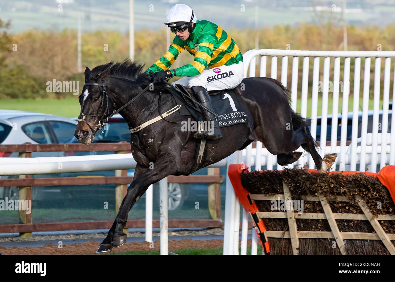 Belfast, Großbritannien. 05.. November 2022. Cougar und Jockey Mark Walsh gewinnen die Value Cabs 3-Y-O-Hürde für Trainer Padraig Roche und Besitzer J.P.McManus auf der Rennstrecke Down Royal. Quelle: JTW Equine Images/Alamy Live News Stockfoto