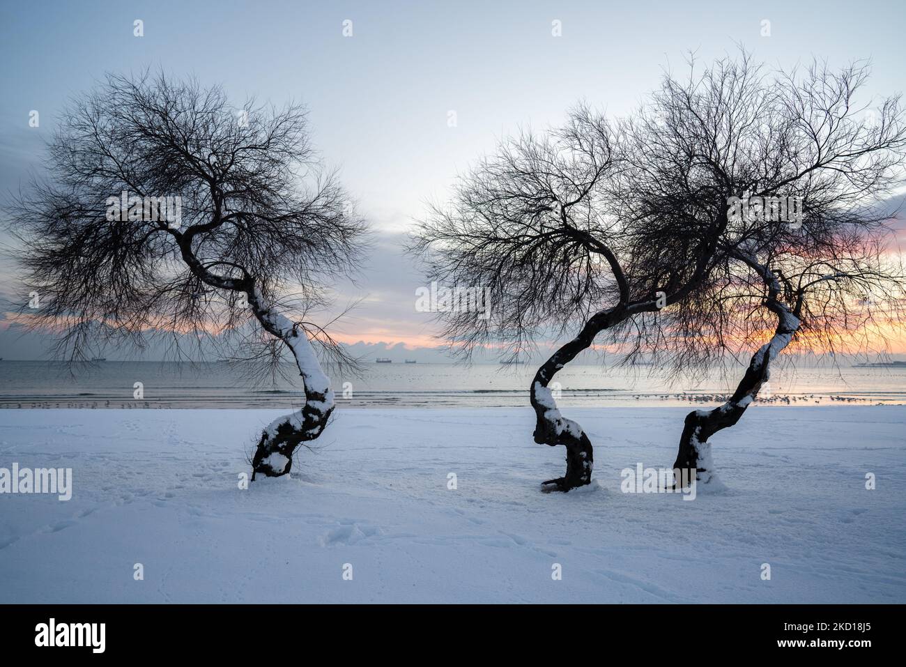 Schneeszenen in Istanbul am 25. Januar 2022. (Foto von Erhan Demirtas/NurPhoto) Stockfoto