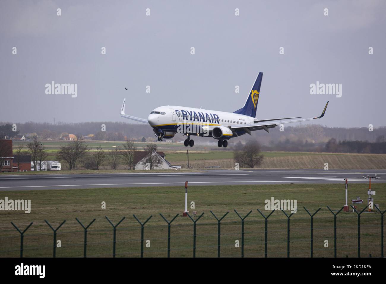 Ryanair Low-Cost-Airline Boeing 737-800 Flugzeuge, wie sie beim endgültigen Anflug und der Landung auf der Start- und Landebahn in der europäischen Hauptstadt am Brüsseler Zaventem International Airport BRU gesehen wurden. Das Düsenflugzeug hat die Registrierung Ei-EBC. Ryanair ist ein irischer Billigflieger mit Hauptsitz in Dublin, Irland. Die Luftfahrtindustrie und der Personenverkehr befinden sich in einer schwierigen Phase, da die Coronavirus-Pandemie Covid-19 negative Auswirkungen auf die Reisebranche hat, mit Befürchtungen über die Verschlechterung der Situation aufgrund der neuen Omicron-Variantenmutation. Brüssel, Belgien Stockfoto