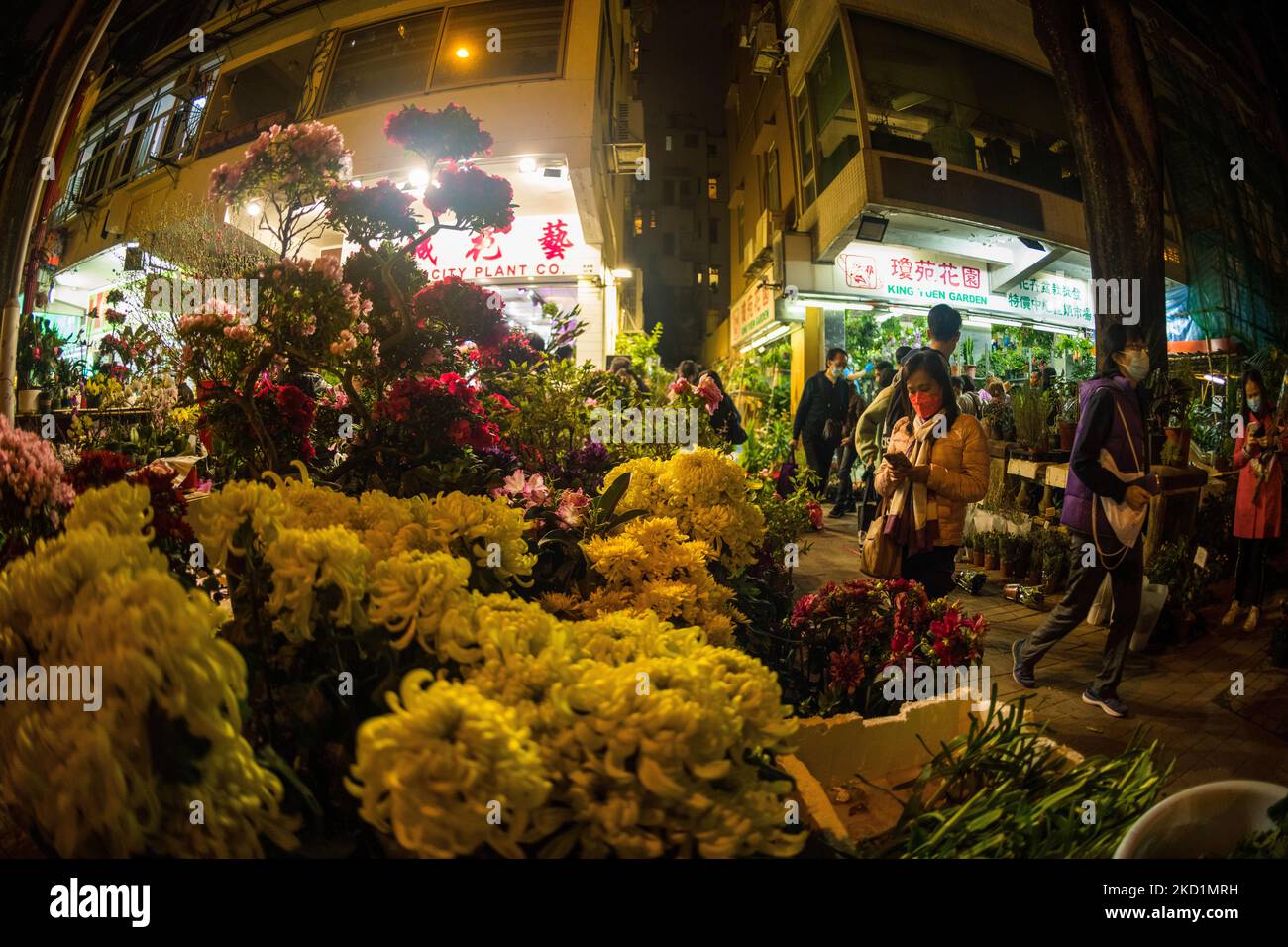 Blumen auf dem Mongkok Blumenmarkt, am 31. Januar 2022. (Foto von Marc Fernandes/NurPhoto) Stockfoto