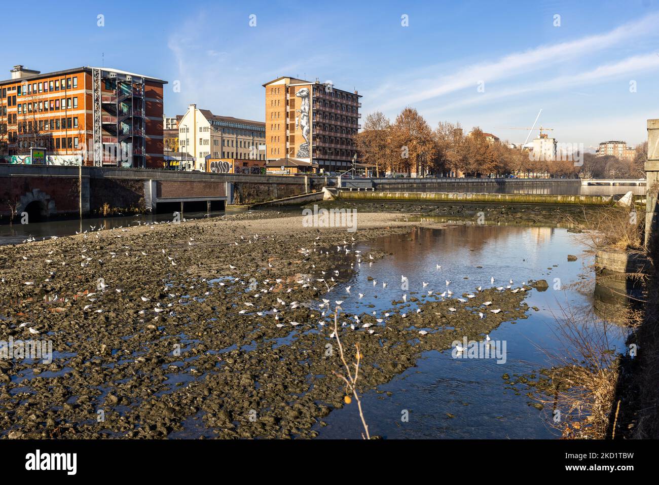 Die extreme Trockenheit der Dora Riparia, einem Nebenfluss des Po, in dem Teil, der nach Turin führt. Nach einer konstanten Dürreperiode haben der Po und sein Becken eine Wasserflussrate von weniger als der Hälfte des Normalwassers. Langfristige Prognosen deuten nicht darauf hin, dass sich das Wetter kurzfristig mit anhaltenden Niederschlägen ändern wird. Dürre ist kein ungewöhnliches Phänomen, aber die Häufigkeit, mit der sie in den letzten Jahren erneut auftritt, wird auch wegen der Auswirkungen auf Tiere, Flora und landwirtschaftliche Aktivitäten besorgniserregend. (Foto von Mauro Ujetto/NurPhoto) Stockfoto