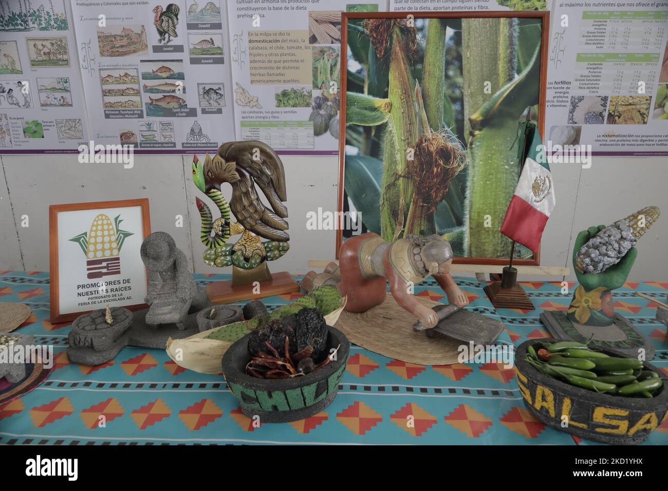 Ausstellung auf der Pre-Hispanic Food Fair in der Esplanade des Bürgermeisterbüros von Iztapalapa in Mexiko-Stadt, wo Vertreter der Bundesstaaten Oaxaca, Tlaxcala, Puebla und andere Staaten boten ihre Produkte an, um die wirtschaftliche Reaktivierung zu fördern und den lokalen Handel während der COVID-19-Gesundheitsnotlage und der Rückkehr zur gelben epidemiologischen Ampel nach der Zunahme der Ansteckungen in der Hauptstadt zu unterstützen. (Foto von Gerardo Vieyra/NurPhoto) Stockfoto