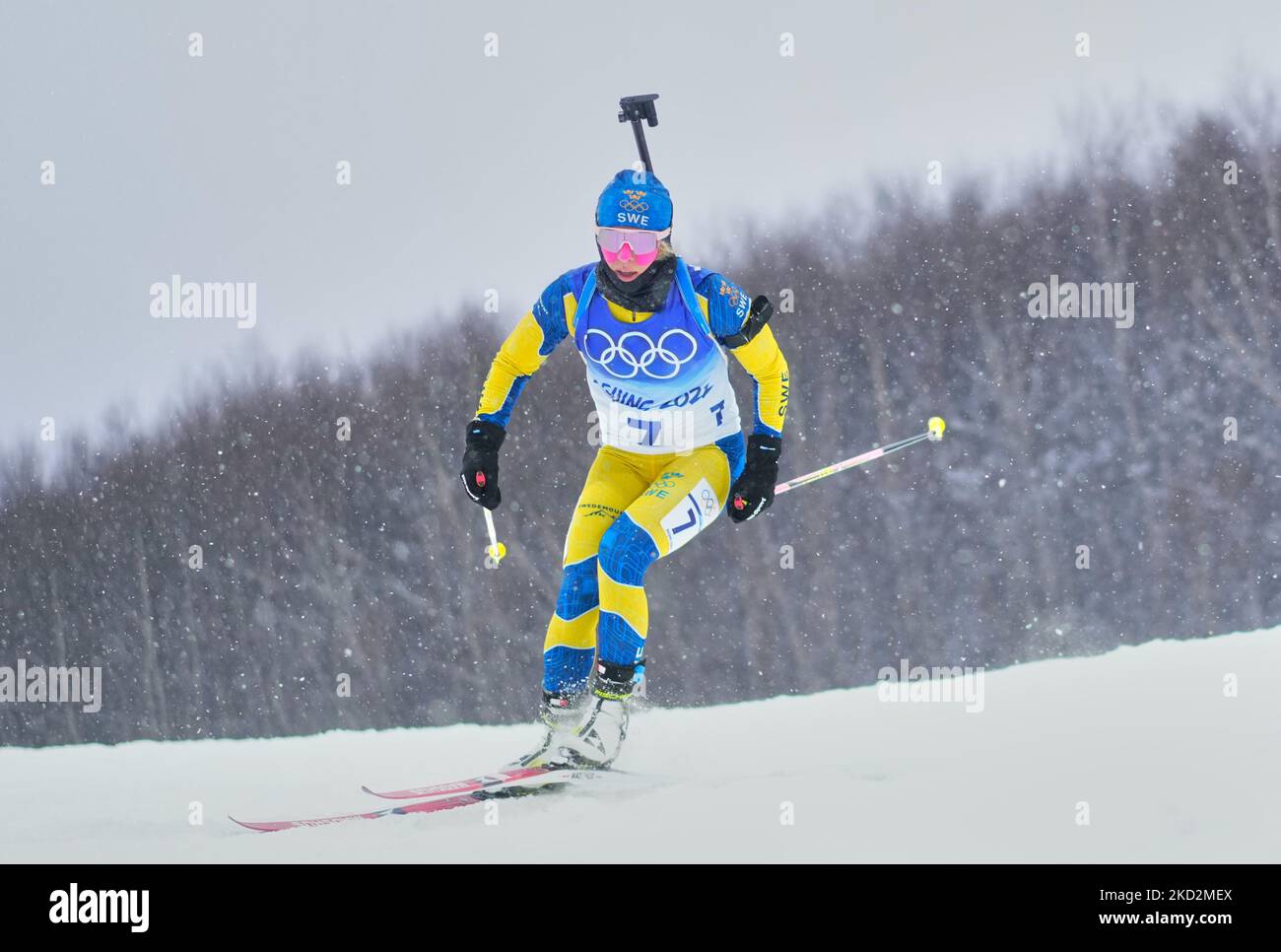 Anna Magnusson aus Schweden beim Biathlon bei den Olympischen Winterspielen 2022 in Peking im Zhangjiakou Genting Snow Park am 12. Februar 2022 in Zhangjiakou, China. (Foto von Ulrik Pedersen/NurPhoto) Stockfoto
