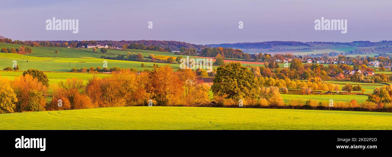 Ein breiter Panoramablick im Herbst, und die Herbstfarben fangen das erste Licht des Tages im tiefen Süden von Limburg, an der Grenze zu den Niederlanden Stockfoto