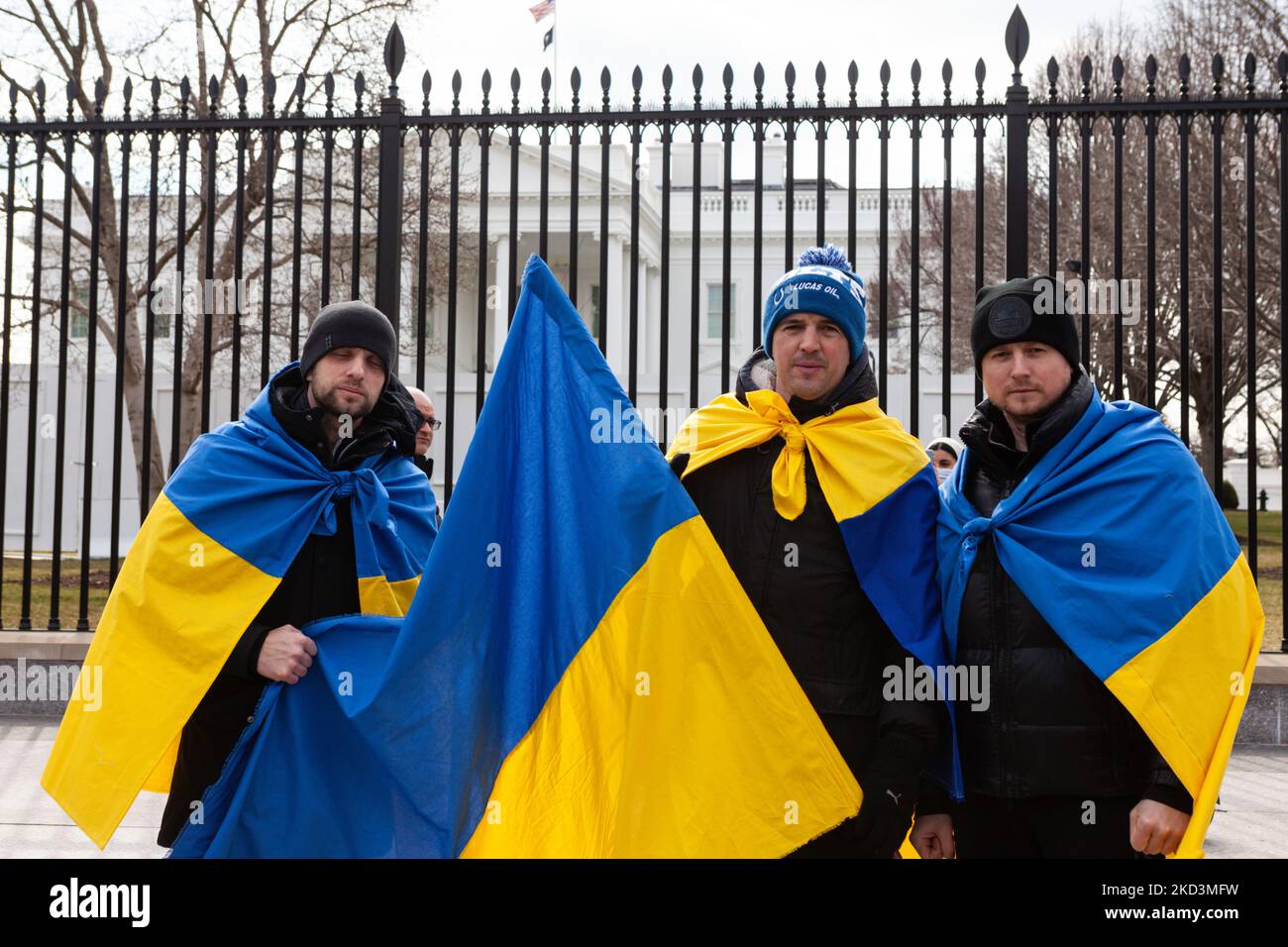 Bogdan, Jaroslav und Igor aus Chicago, Illinois, zeigen ihre Fahnen während einer Kundgebung für die Ukraine im Weißen Haus. Hunderte von Menschen versammelten sich, um Sanktionen gegen Russland, den Ausschluss Russlands von SWIFT und militärische Unterstützung für die Ukraine zu fordern, wobei der Schwerpunkt auf dem Flugschutz lag. Sie waren unter vielen Demonstranten, die aus allen Teilen der Vereinigten Staaten nach Washington kamen, um an der Kundgebung teilzunehmen. (Foto von Allison Bailey/NurPhoto) Stockfoto