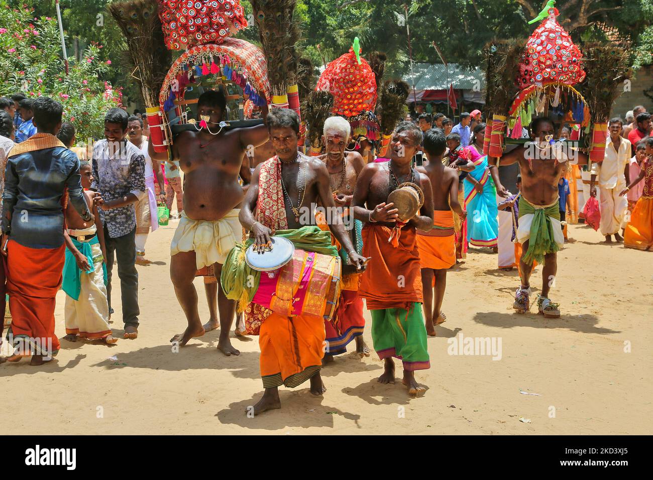 Tamilische Hindu-Männer spielen eine rhythmische Melodie auf traditionellen Trommeln, während eifrige Anhänger das Kavadi Attam Ritual während des Amman Ther Thiruvizha Festivals im Tellipalai Amman Tempel in Tellipalai, Nordprovinz, Sri Lanka, durchführen. (Foto von Creative Touch Imaging Ltd./NurPhoto) Stockfoto