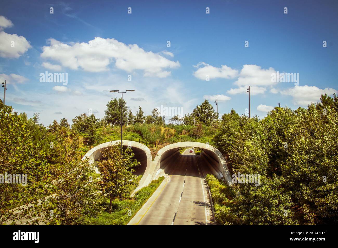 Landbrücke über vierspurige Autobahn im Sommer umgeben von grünen Bäumen unter ziemlich blauem bewölktem Himmel Stockfoto