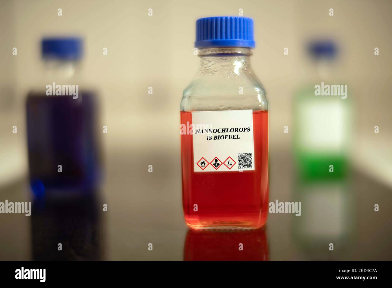 Glasflasche mit nannochloropsis-Biokraftstoff Stockfoto