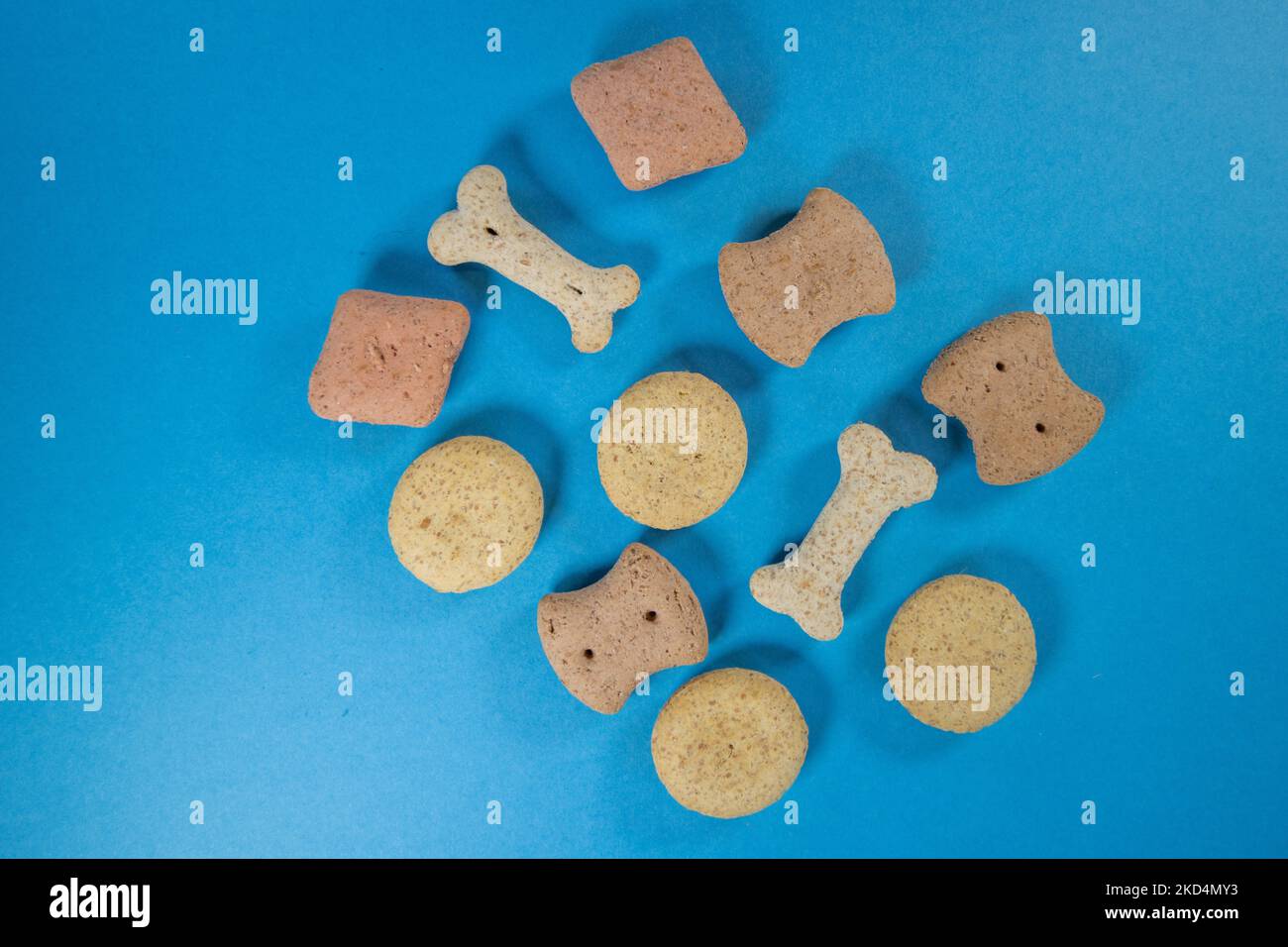 Unterschiedlich geformte Hundekekse isoliert auf blauem Hintergrund Stockfoto