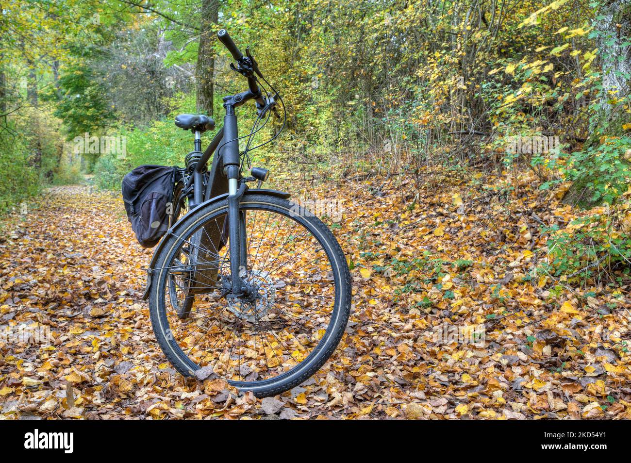 Im bunten Herbstwald steht ein E-Bike. Was schön aussieht, kann für Radfahrer gefährlich sein. Stockfoto