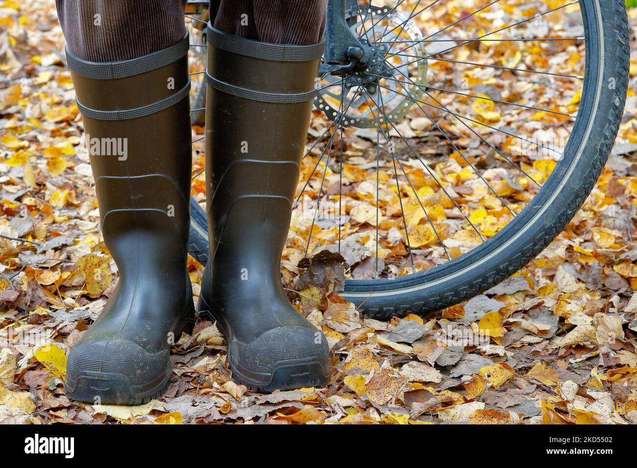 Mit trockenen Füßen auf dem Fahrrad durch den Herbst. Radfahrer steht in Gummistiefeln in farbenfrohem Laub vor einem Fahrradreifen. Stockfoto
