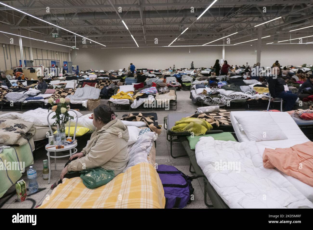 Temporärer Schlafbereich mit Campingbetten und Matratzen für Menschen im  ehemaligen Einkaufszentrum. Das temporäre Zentrum für humanitäre Hilfe in  Przemysl, einer Stadt 10km aus der Ukraine und dem Grenzübergang Medyka  Shehyni. Das humanitäre