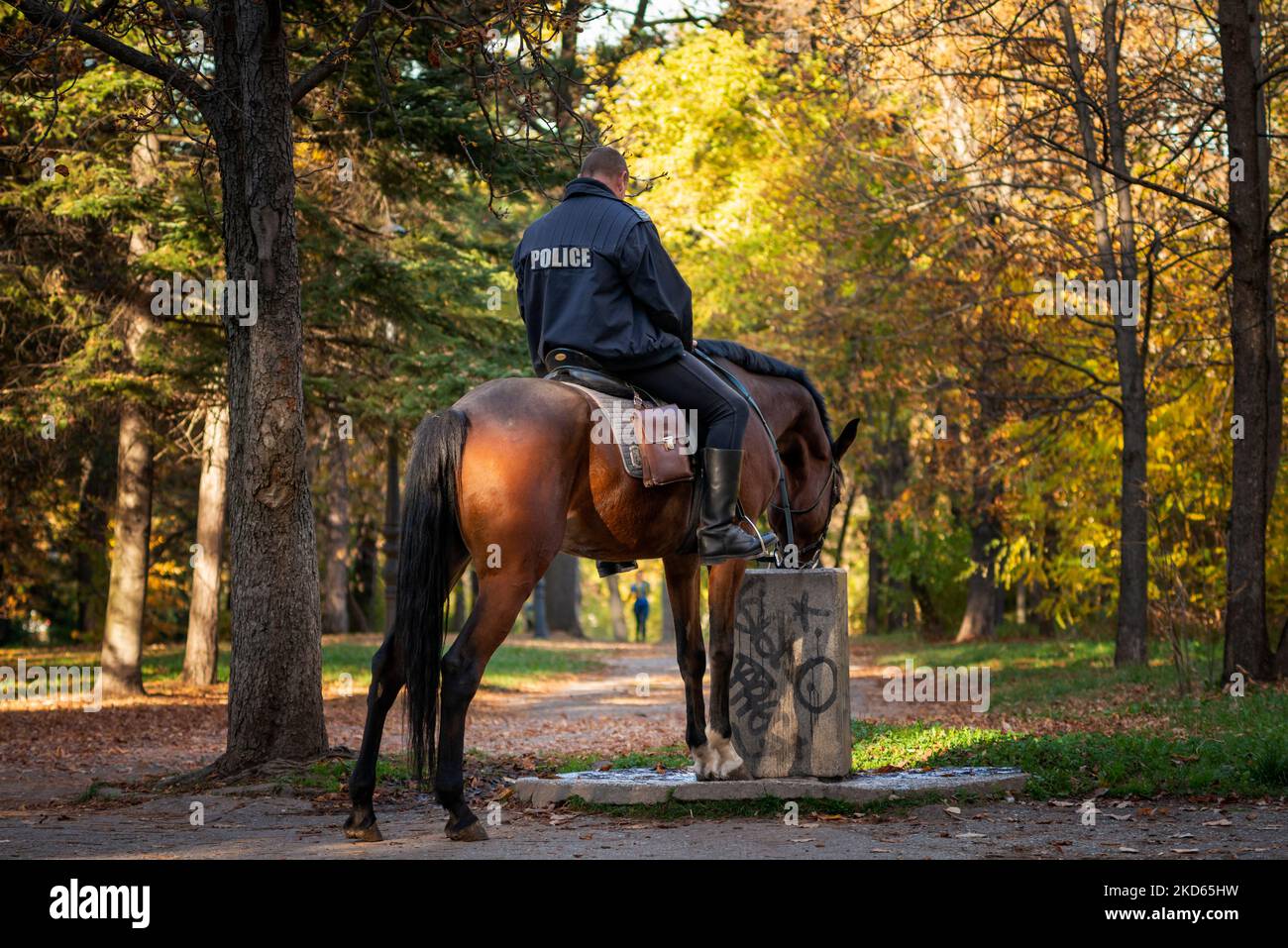 Polizei Pferd Trinkwasser aus öffentlichen Trinkwasserbrunnen in Sofia, Bulgarien, Osteuropa, Balkan, EU Stockfoto