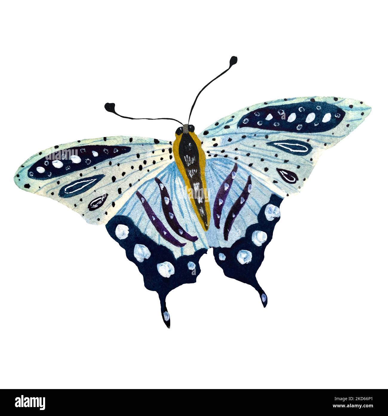 Schmetterling blau violett skizzieren ein Aquarell isoliert Stockfoto