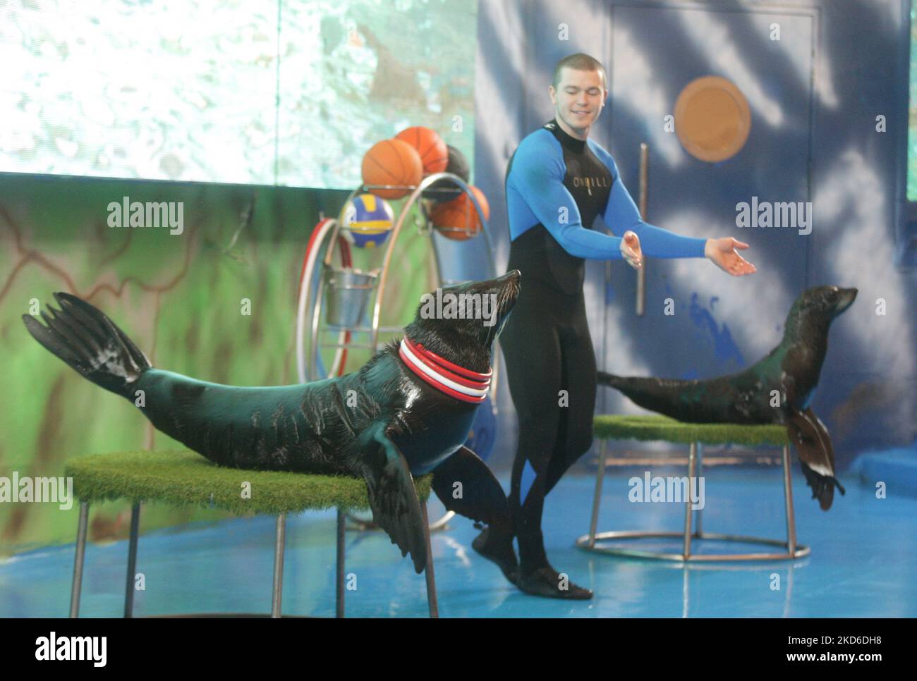 Seelöwen treten während einer Show des kürzlich wiedereröffneten Delfinariums „Nemo“ auf, das am 30. März 2022 inmitten der russischen Invasion der Ukraine in Odesa, Ukraine, stattfand. Zwei Delfinbabys namens „Ukraine“ und „Victory“ wurden seit Kriegsbeginn in der Ukraine im Delphinarium von Odesa geboren. (Foto von STR/NurPhoto) Stockfoto