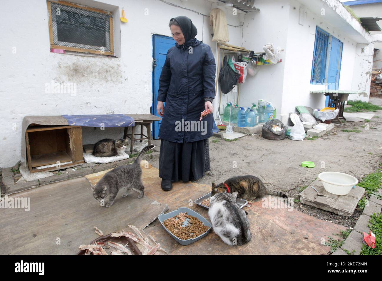 Am 7. April 2022 kümmert sich eine Nonne um Katzen im Kloster des Heiligen Erzengels - Michaels Frauen in Odesa, Ukraine. Das Frauenkloster rettet Katzen, die von ihren Besitzern, die aufgrund des Krieges geflohen sind, während der russischen Invasion in der Ukraine zurückgelassen wurden. (Foto von STR/NurPhoto) Stockfoto