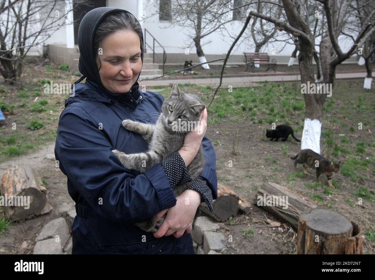 Am 7. April 2022 kümmert sich eine Nonne um Katzen im Kloster des Heiligen Erzengels - Michaels Frauen in Odesa, Ukraine. Das Frauenkloster rettet Katzen, die von ihren Besitzern, die aufgrund des Krieges geflohen sind, während der russischen Invasion in der Ukraine zurückgelassen wurden. (Foto von STR/NurPhoto) Stockfoto